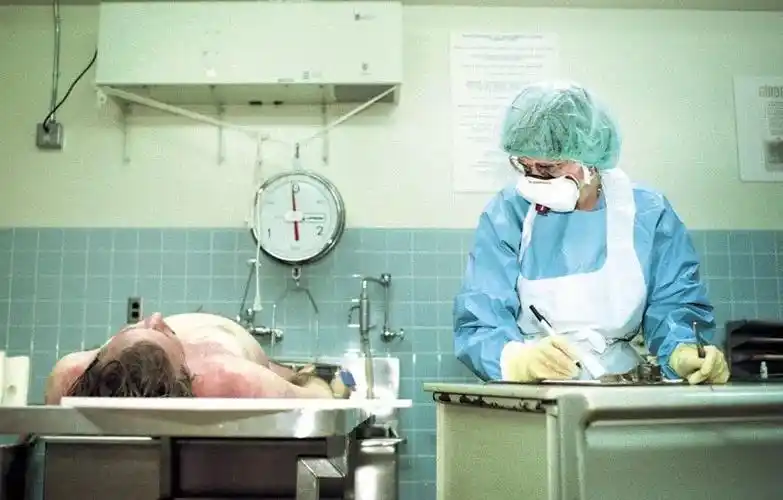 未来的法医怎么破案?