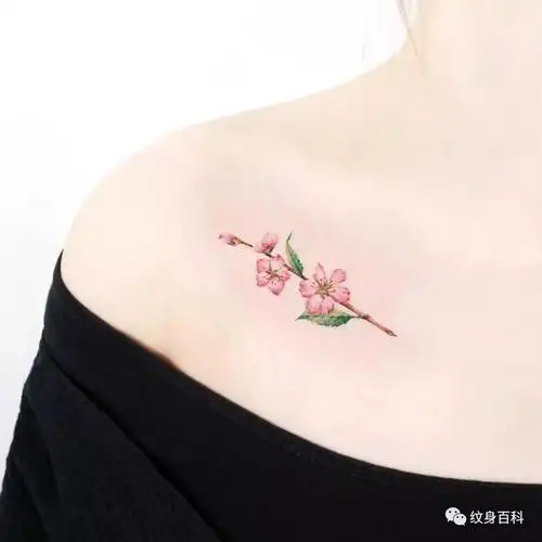 有时候觉得,适合男生纹的纹身,女生纹了也很帅,但是适合女生纹的题材