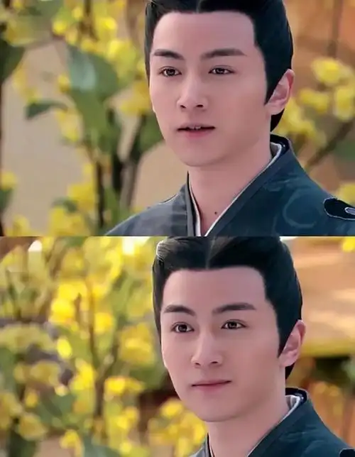 陈晓陆贞传奇高湛61是年少的心动