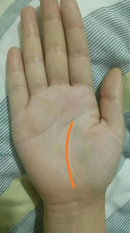 生命线又叫"地纹",是指以半圆弧形包围金星丘的线.