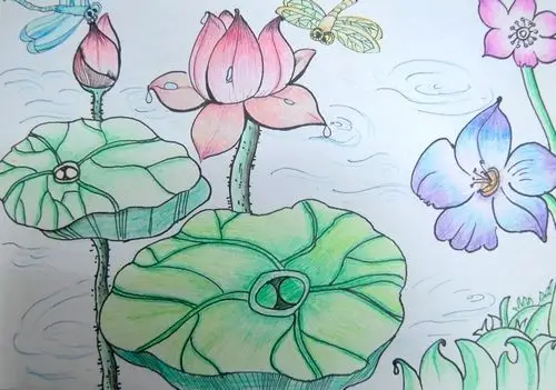 荷/少儿绘画作品/儿童画/网络美术馆_中国少儿美术教育网