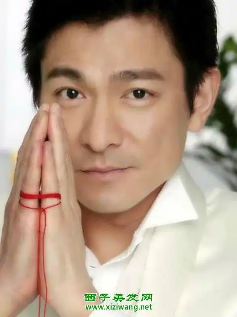 刘德华时尚发型造型刘德华帅气短发图片