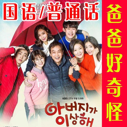 韩国电视连续剧爸爸好奇怪dvd碟片光盘国语发音普通话配音