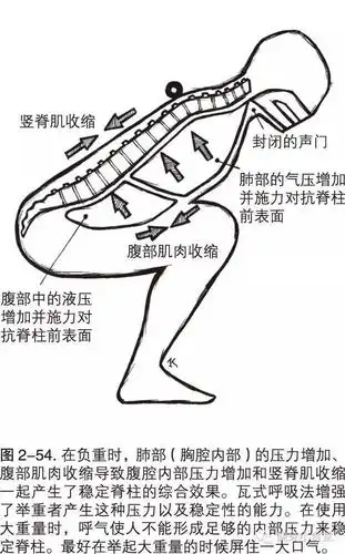 标准深蹲技术详解深蹲修炼手册3