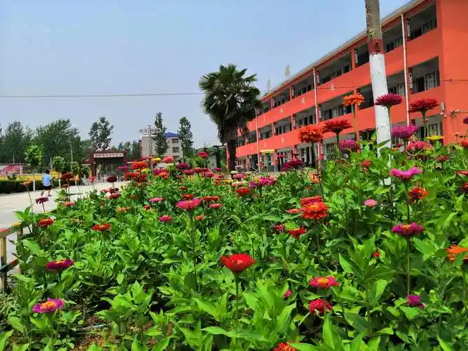 data-lemmaid="59474">河南省 /a>周口市鹿邑县,地处 a target="