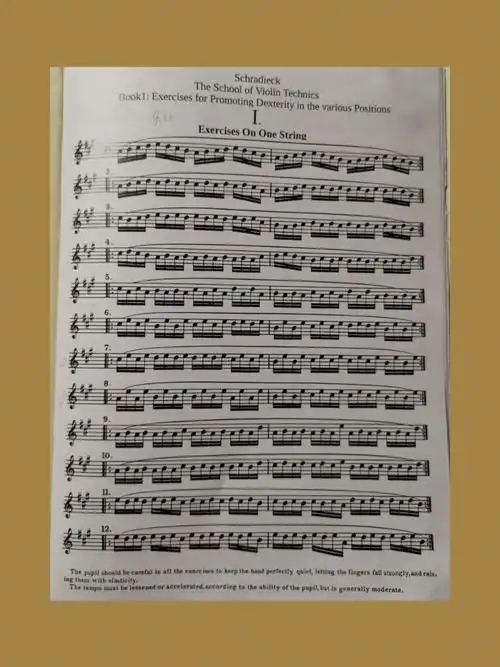 小提琴左手集训结束