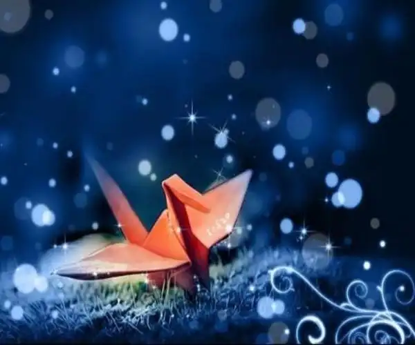 一篇人间少有的最催泪的伤感爱情故事千纸鹤女孩的爱情