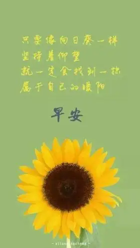 微信早安问候语带文字