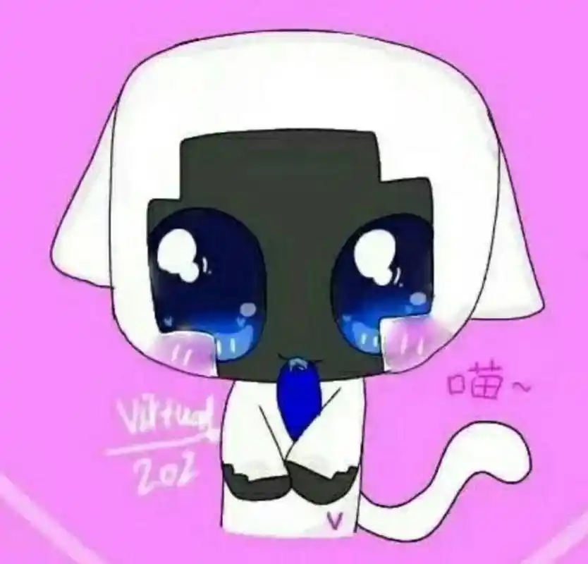 我是实体303,这是我的妹妹虚拟202