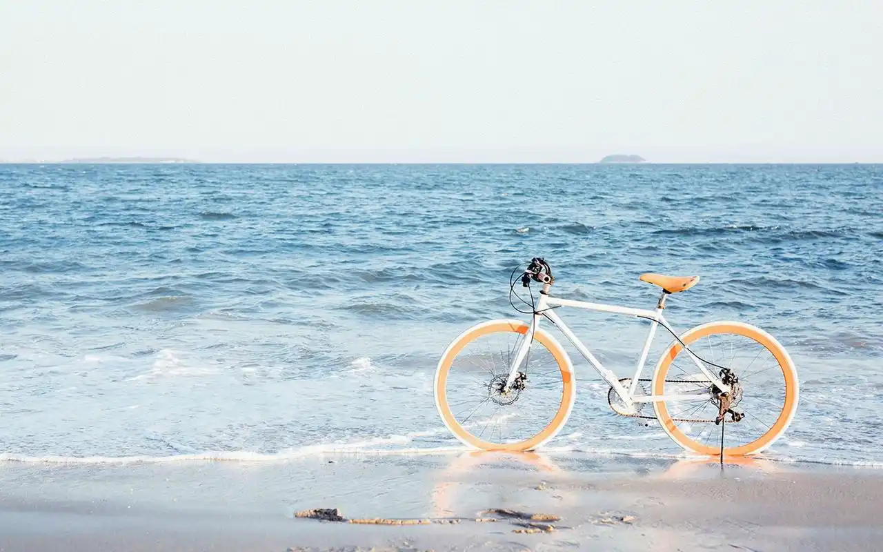 初中语文基础知识含答案110题