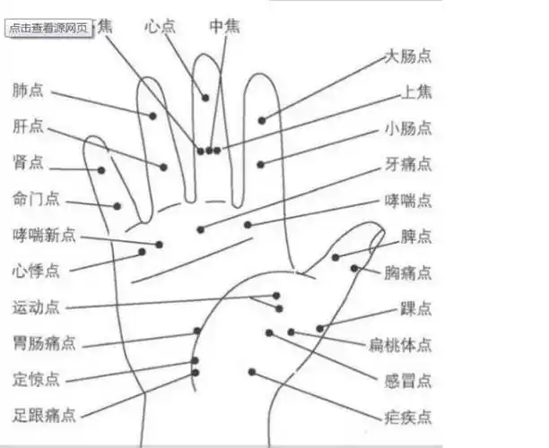 量指算命多神奇?十根手指看命运