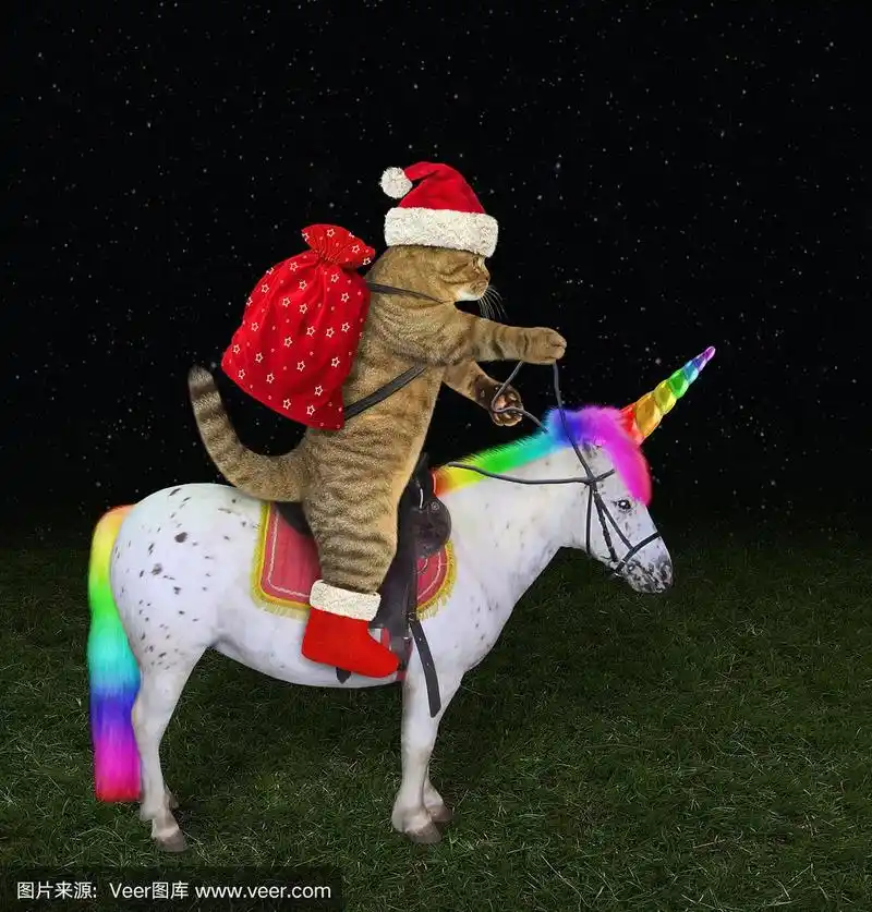 猫在晚上骑独角兽