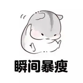 瞬间暴瘦 - 胖胖仓鼠表情包_仓鼠_减肥_好玩_可爱_萌萌哒表情