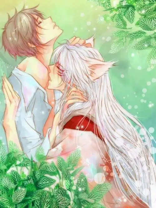 第九文 喜欢七辻屋的馒头的妖怪不是猫-夏目友人帐:无心契约(暂停更)