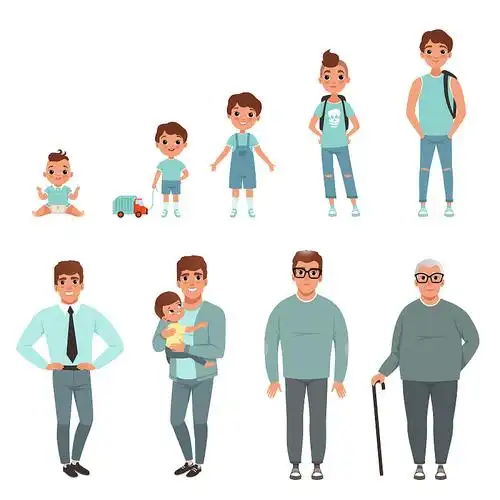 人的生命周期从婴儿开始的成长阶段