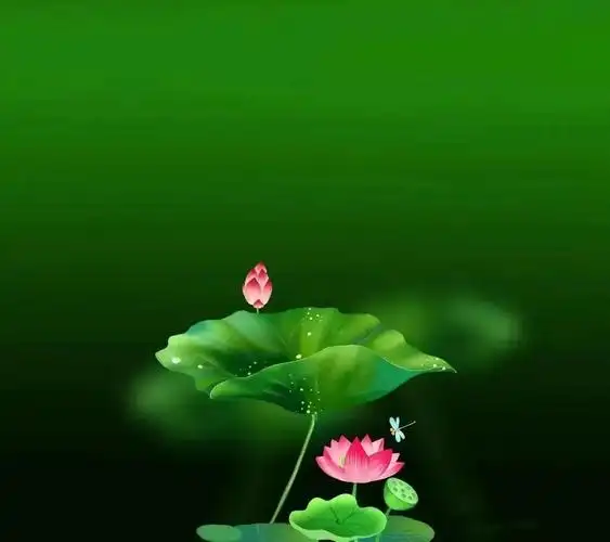 清新绿色护眼荷花壁纸