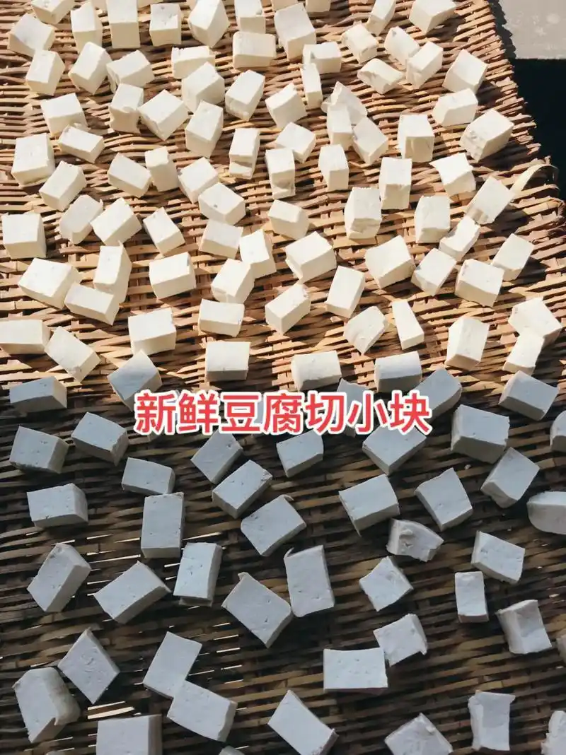 霉豆腐的制作#美食分享 #纯手工打造 #纯天然无添加 - 抖音