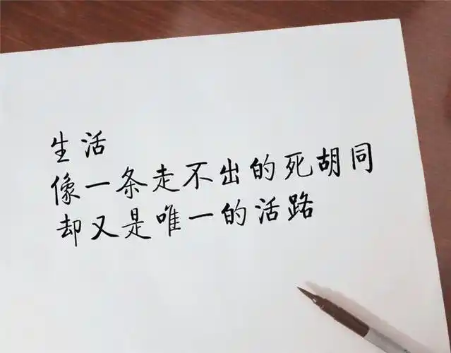 非常现实的句子,句句经典