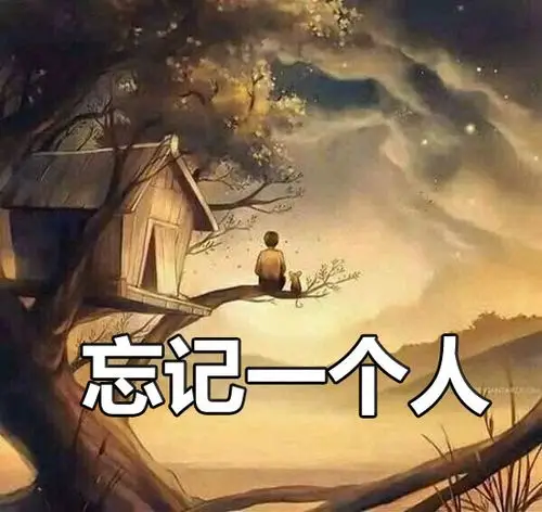 忘记一个人可能需要一辈子的4大星座