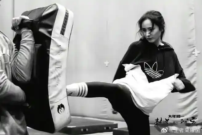 杨幂格斗家本家