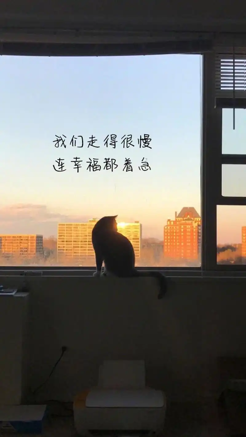 精选情感文字语录手机壁纸