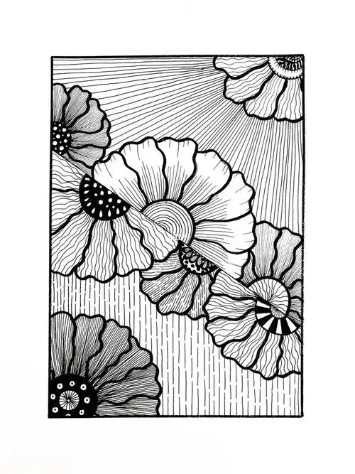 黑白插画装饰画花卉线描附过程图