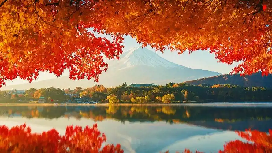 【wallpaper engine】4k高清壁纸分享 秋日下的富士山