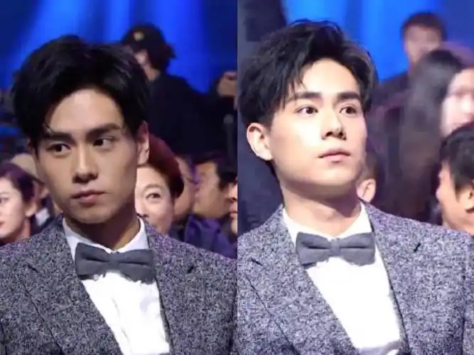 胡一天亮相星光大赏,像不像彭于晏