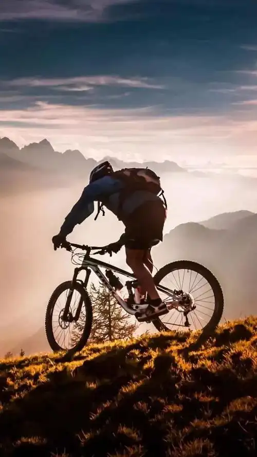 喜欢的就保存到手机里换上吧~单车主题壁纸嘚吧嘚给大家找了一组唯美