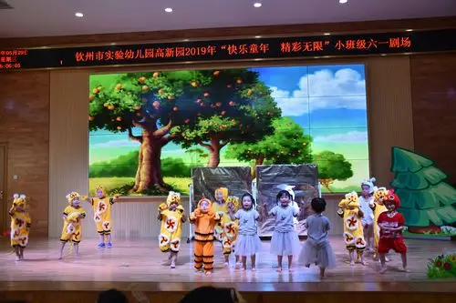 小四班情景剧《老虎照镜子》,萌萌的小老虎和小动物们真可爱.