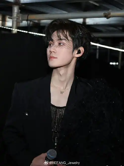 hefang star#张真源超话in hefang jewelry 小蝴蝶锁骨链,点缀黑色