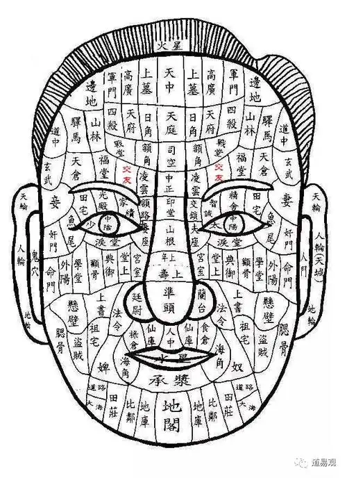 40岁女人外遇出轨的理由什么面相的女人容易出轨有外遇啊