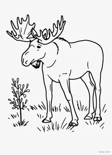 标签:羚羊羚羊线稿图手绘动物卡通简笔画羚羊cobo藏羚羊羊角藏羚羊