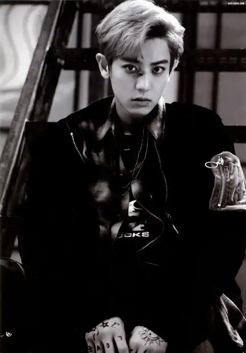 exo朴灿烈