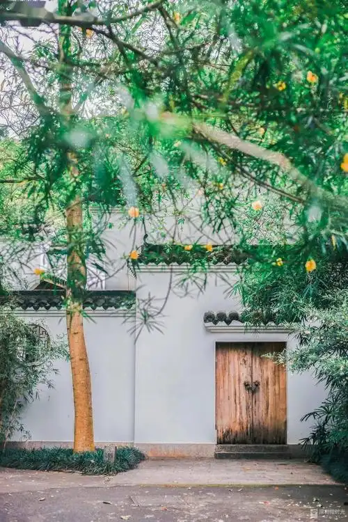 深圳少有的古风庭院,免费开放,一秒穿越到江南!