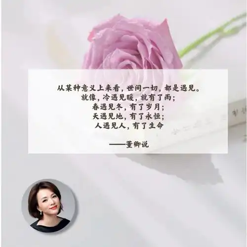 董卿说诗词大会分享摘抄