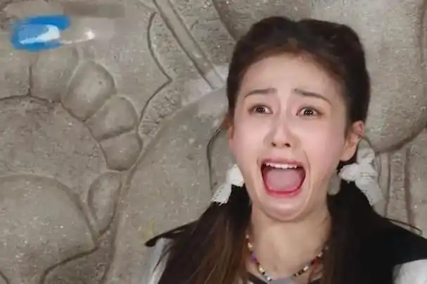 来看,除了李晨,郑恺,沙溢,白鹿之外,还有周深,范丞丞,宋雨琦和张真源