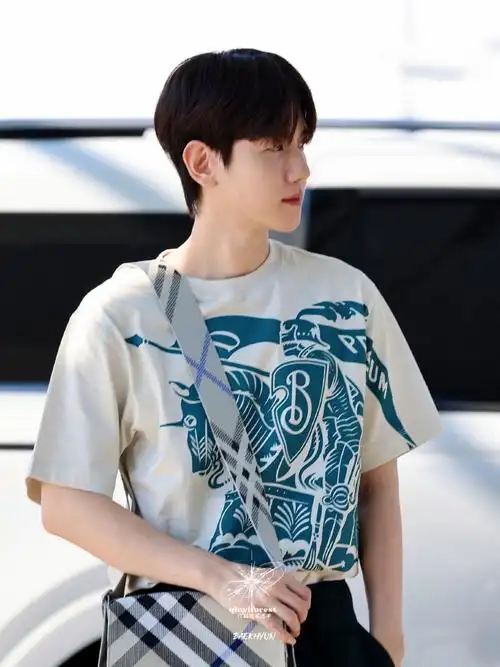 仁川出发7615  "我没话说了,帅死了91"  #边伯贤##baekhyun##边