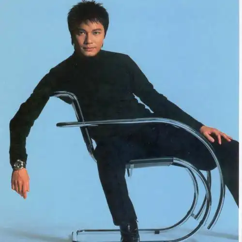 罗嘉良岁月的童话