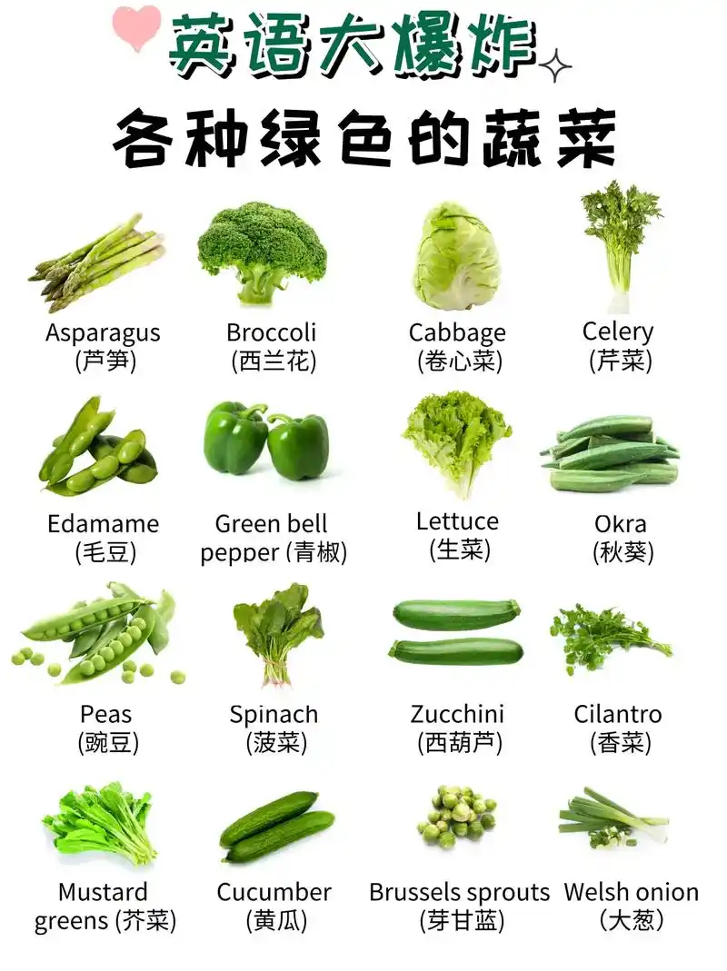 英语大爆炸day54【绿色的蔬菜】
