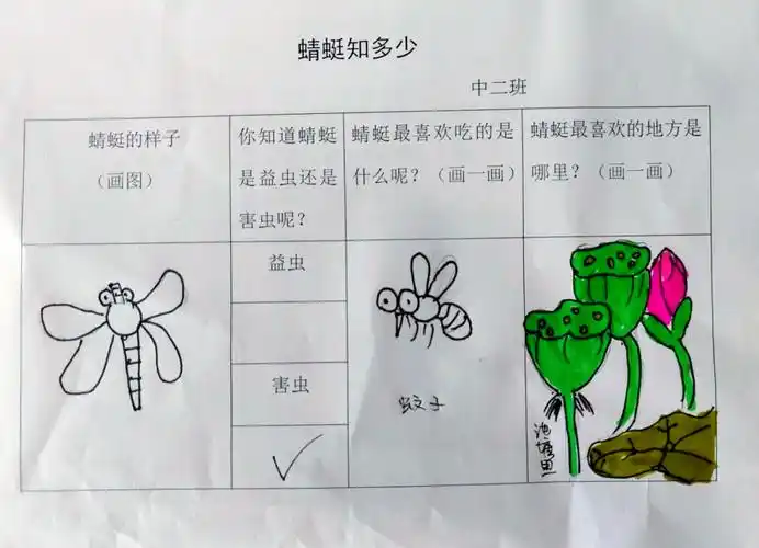南京市大厂实验幼儿园:探索昆虫世界中的蜻蜓之旅