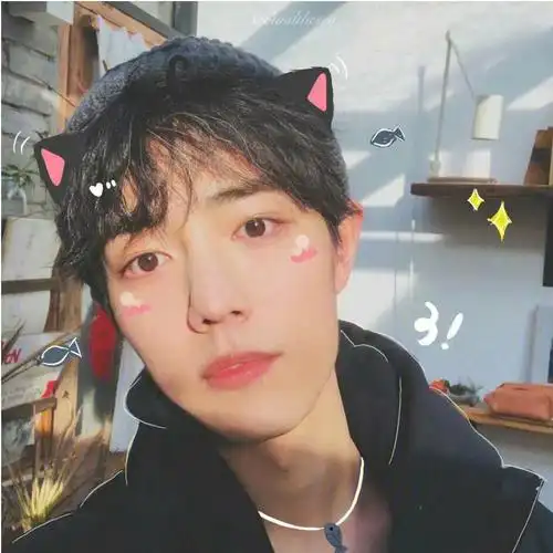 肖战头像可爱头像头像分享