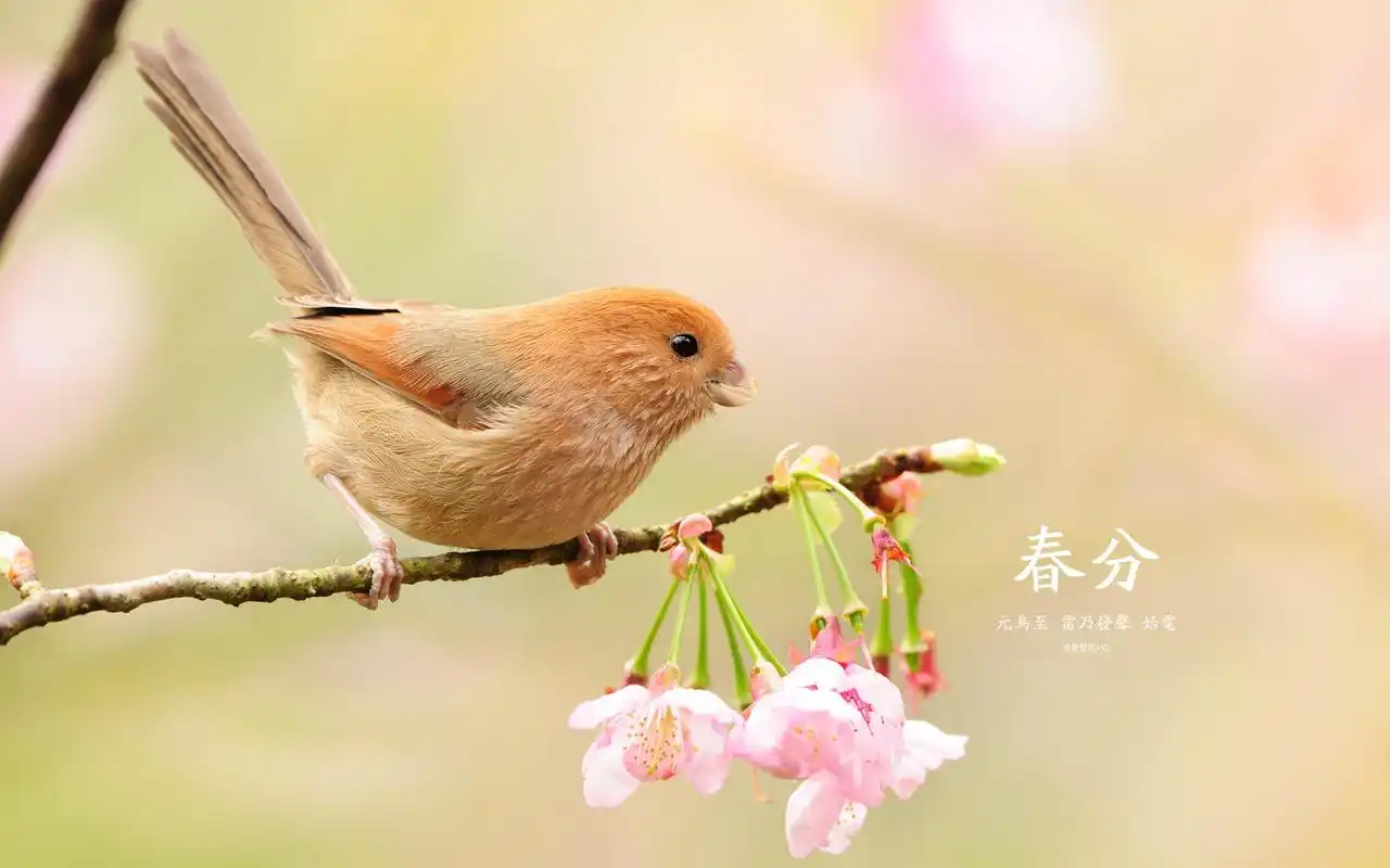 清新绿色风景高清壁纸图片下载