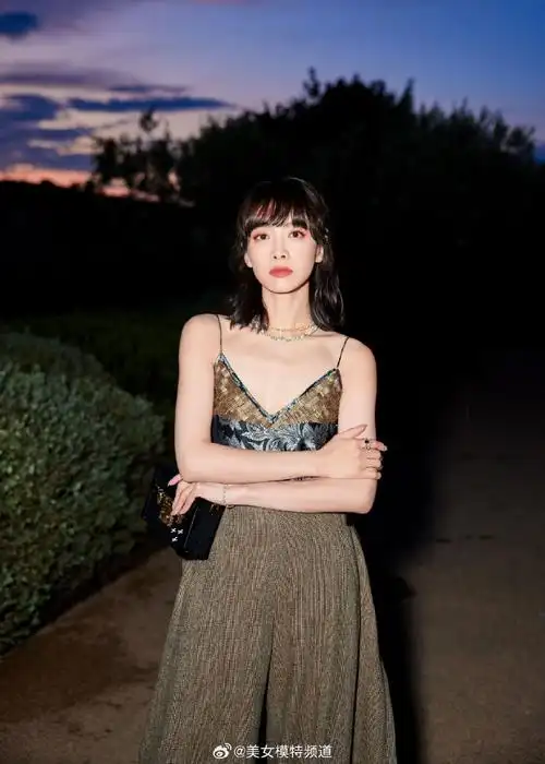 宋茜丝织吊带刺绣裙随性优雅满满