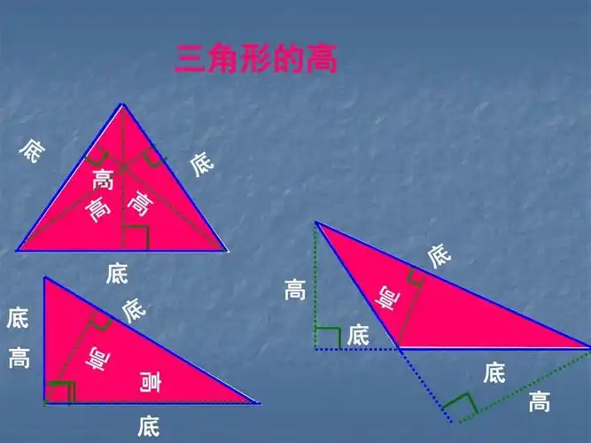三角形的高 高 底 高 底 高 底 高 底 底 高