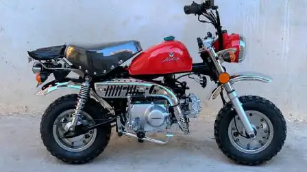 骏联车行2019年金城小猴子70