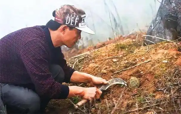 中越边境扫雷历时4次花费26年当初为何要埋上百万颗雷