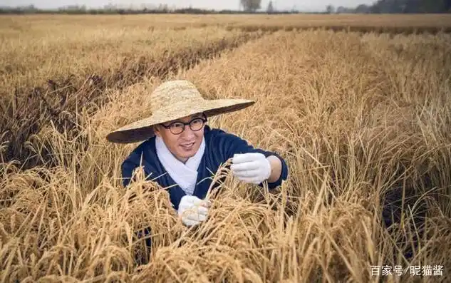 周杰捐献2万斤大米,网友纷纷表示:明星变农民,也比我们赚的多