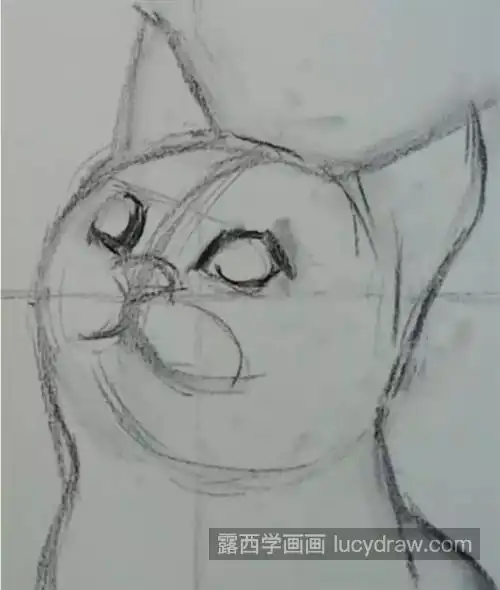 素描猫咪怎么画?有哪些绘画步骤?