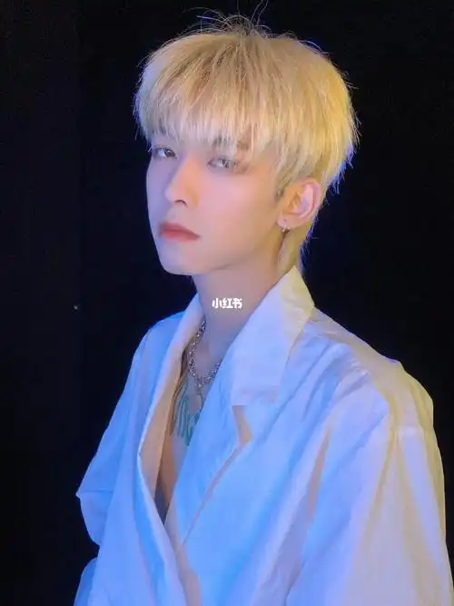 男生"碎盖狼尾"发型|||发型:男生"碎盖狼尾"发型发色:白金色长度:12cm